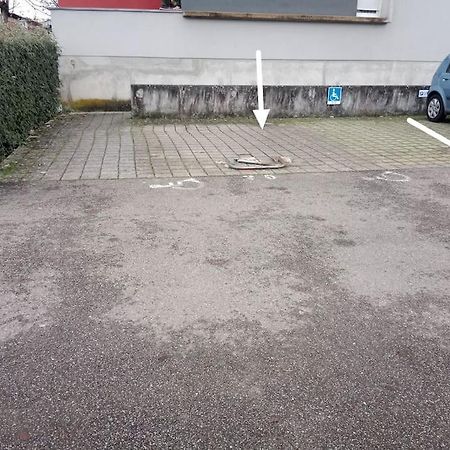 Tres Bel Appartement Rez De Jardin Appart De 53M2. Pfastatt エクステリア 写真