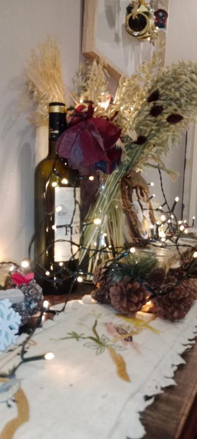 Tres Bel Appartement Rez De Jardin Appart De 53M2. Pfastatt エクステリア 写真