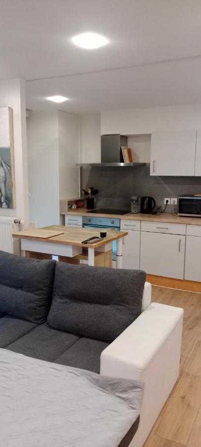 Tres Bel Appartement Rez De Jardin Appart De 53M2. Pfastatt エクステリア 写真