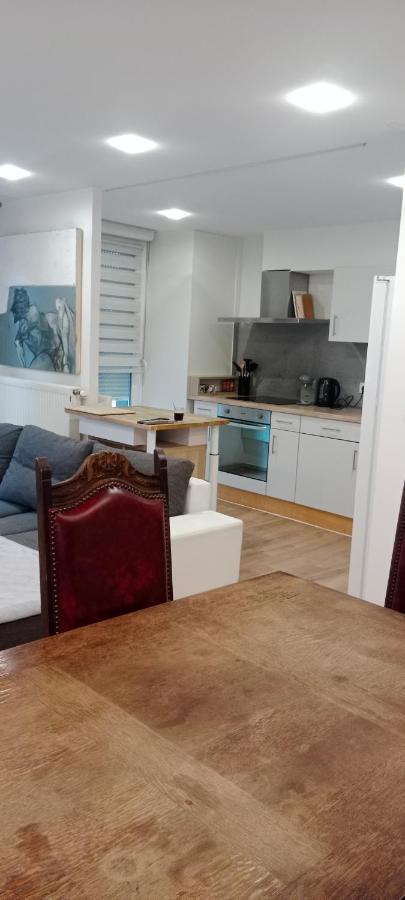 Tres Bel Appartement Rez De Jardin Appart De 53M2. Pfastatt エクステリア 写真